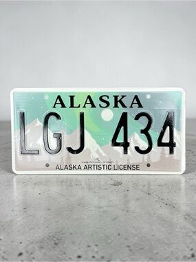 Authentic Northern Lights Alaska Artistic License Wall Art Plate
